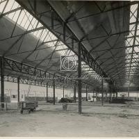 Interno di capannone (2)